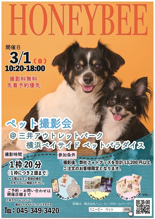3/1(日)開催　ハニービーペット撮影会