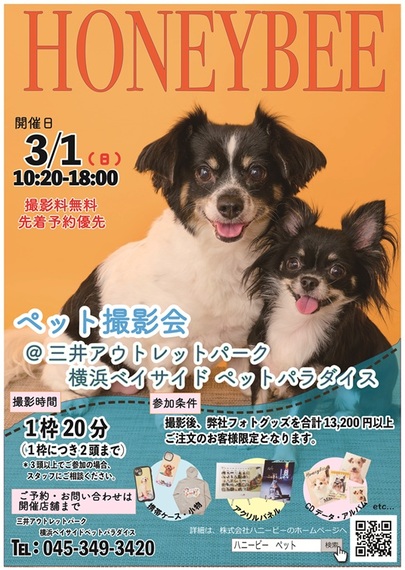3/1(日)開催　ハニービーペット撮影会