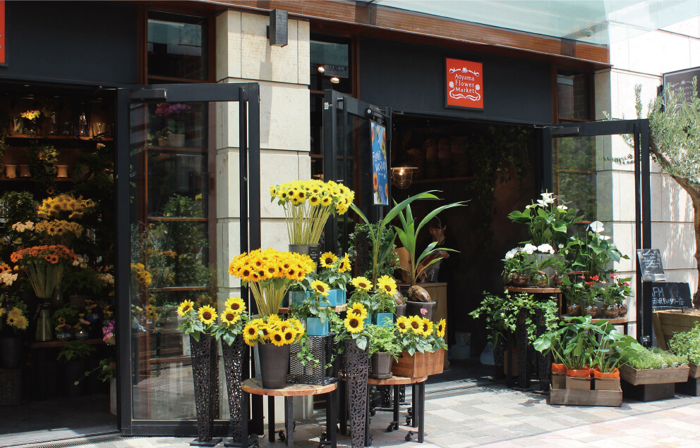 Shop Features