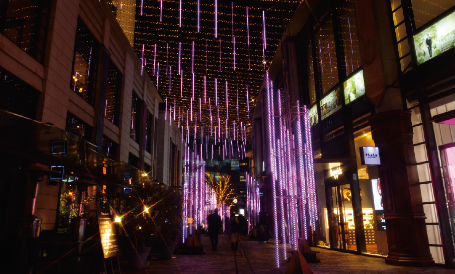 아카사카 사쿠라 일루미네이션