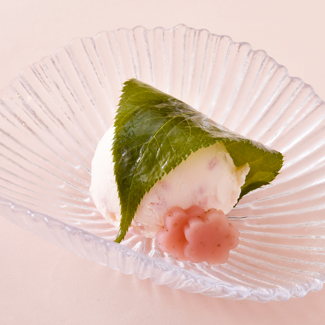 아카사카 토미츠키 벚꽃 아이스