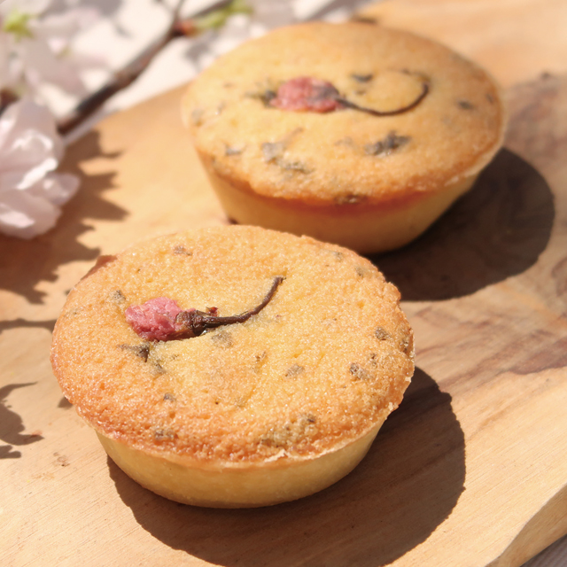 GINZA WEST 벚꽃 타트