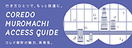 COREDO ACCESS GUIDE