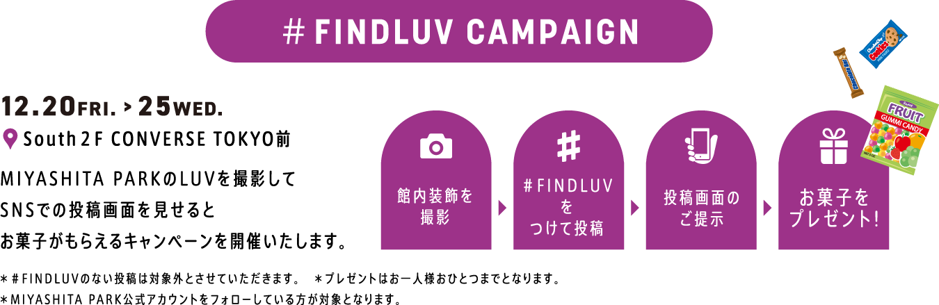 FINDLUV CAMPAIGN