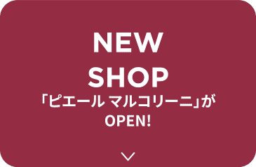 NEW SHOP