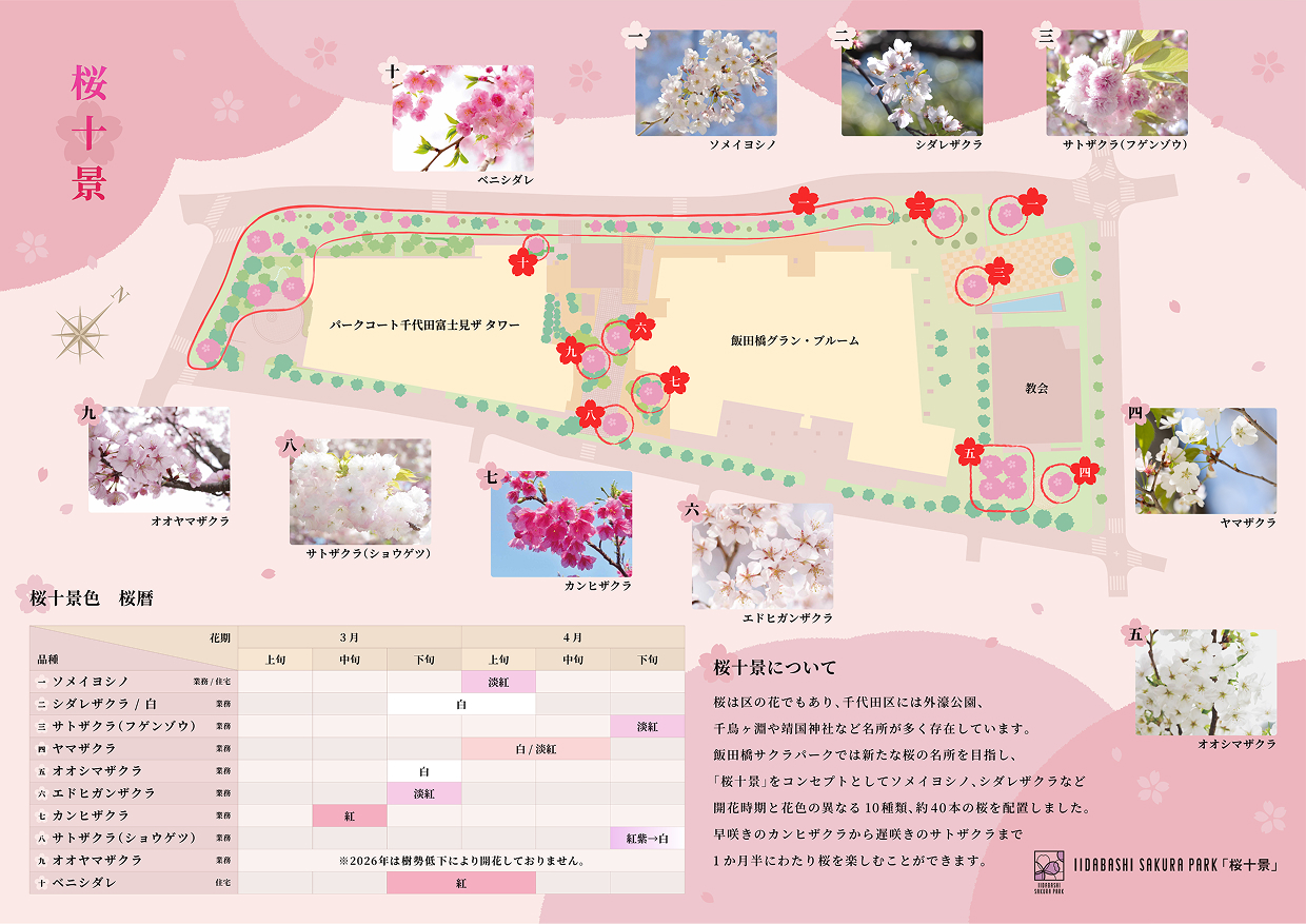 樱花十景