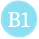 B1