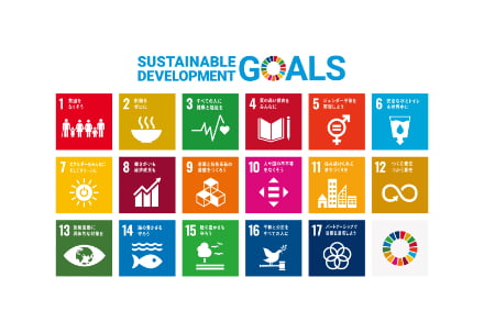 SUSTAINABLE DEVELOPMENT GOALS