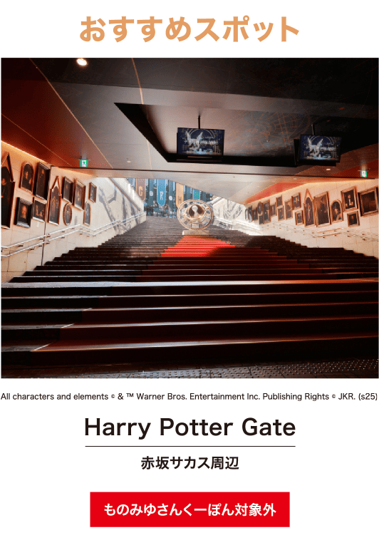 Harry Potter Gate